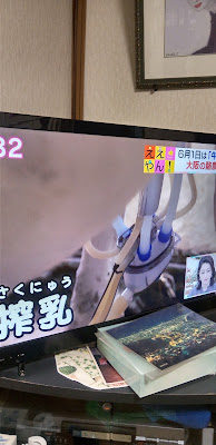 テン