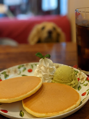 ドッグカフェkameno(カメノ) 사진 2