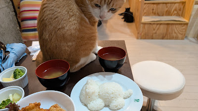 Diorama restaurant 사진 3