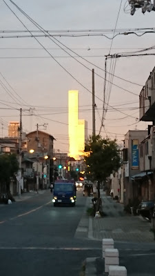 New White 사진 2