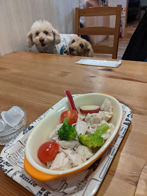ドッグカフェこふみ 사진 2