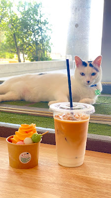大阪文化館 ジオラマ食堂 Cats Wonderland Osaka-bay 사진 3