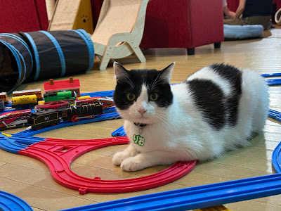 大阪文化館 ジオラマ食堂 Cats Wonderland Osaka-bay 사진 4
