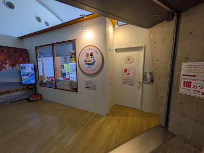 貓咖啡館 사진 3