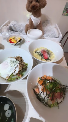 ドッグカフェ＆パーク Bliss Wacha 사진 2