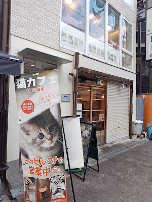 고양이 카페 "Nekohos" 신사이바시
