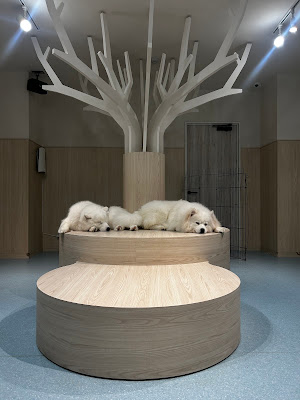Samoyed Cafe Al Osaka Kitahorie Branch