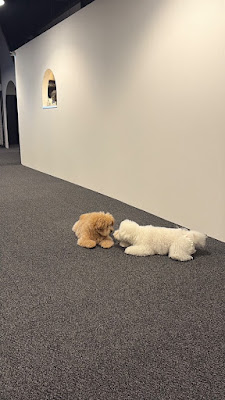 OneGarage (屋内ドッグラン) 사진 2