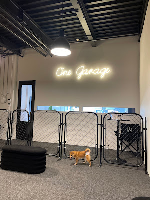 OneGarage (屋内ドッグラン) 사진 3