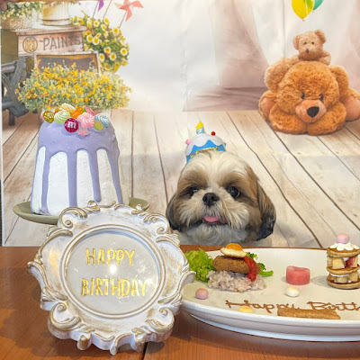 Super Love Dogs 사진 3
