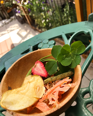 うさぎカフェ うさぎ専門店・ミミラパン 사진 3