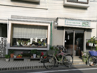 Sachi