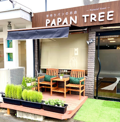 Papan Tree