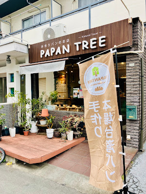 Papan Tree 사진 4