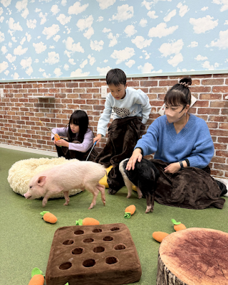 マイクロブタとのふれあい体験【豚小屋】 사진 4