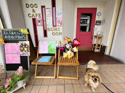 DogCafeBUHIGON(ドッグカフェブヒゴン) 사진 4