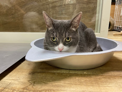 短足🐾Home 사진 4