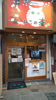 Cat Cafe nekonoki 사진 4