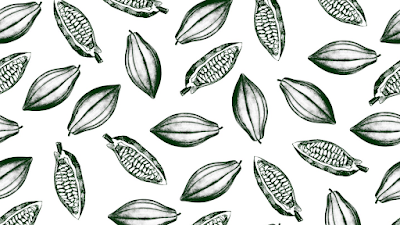 monpetit via cacao 사진 4