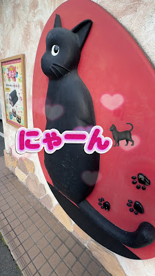 Chat Noir 사진 2