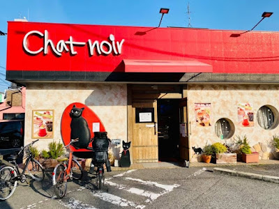 Chat Noir 사진 5