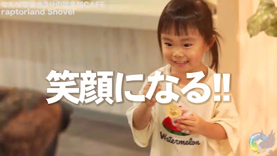 猛禽類カフェ raptorland Shovel 사진 2