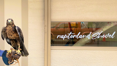 猛禽類カフェ raptorland Shovel 사진 4