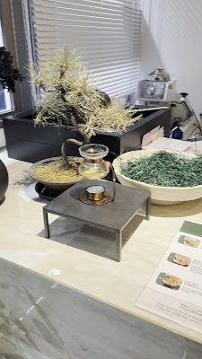 【抹茶 × 和ハーブカフェ】 morinoma モリノマ 四ツ橋店 사진 2