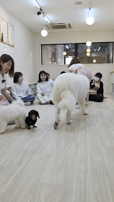 PREFAM もふもふのひととき 사진 2