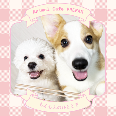 PREFAM もふもふのひととき 사진 4
