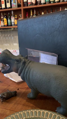 HIPPO Hostel & Cafe Bar 사진 3