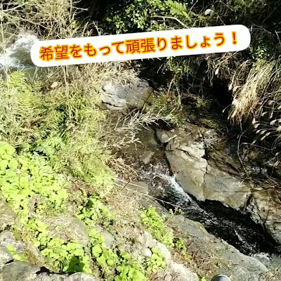 Harita Acupuncture 사진 3