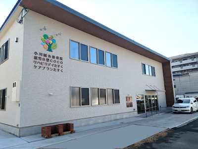 Ogawashinkyu Acupuncture