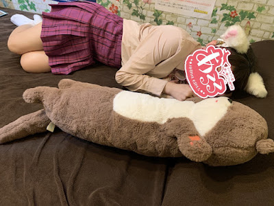 あるる～ＡｎｉｍａｌＧｉｒｌｓ～日本橋オタロード店 사진 3