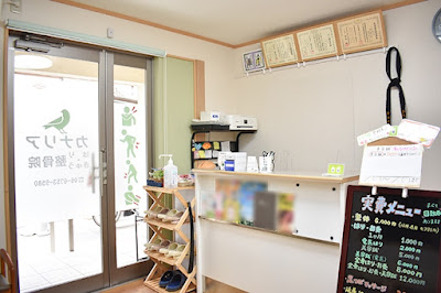 Canary Harikyu Acupuncture 사진 5