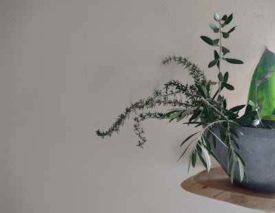 Amanam green 사진 4