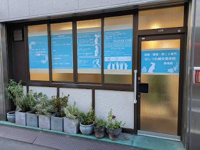 はしつね鍼灸整体院