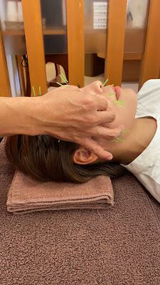 Shiokawashinkyusekkotsu Clinic 사진 2