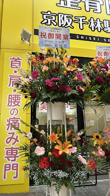 Meiterushisei Acupuncture 사진 3