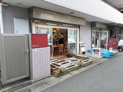 オアシス