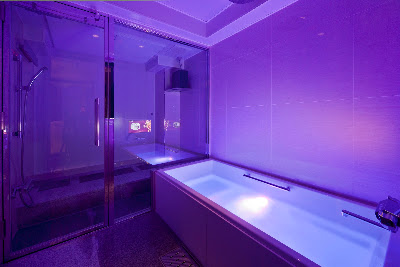 Hotel Pasha Resort 사진 3