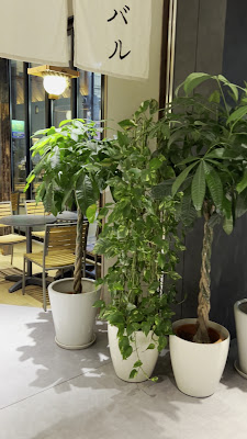 AKABANEHOLIC HOTEL 사진 2