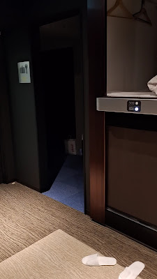 Lightning Hotel Asakusa 사진 2
