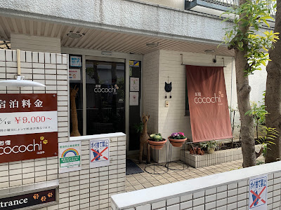오야도 고코치
