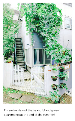 Rize Apartments