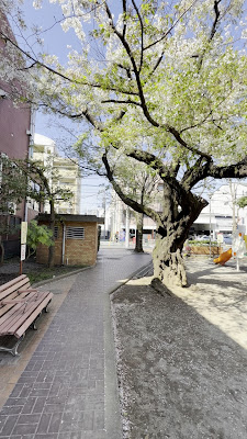 와세다도리 공원 사진 2