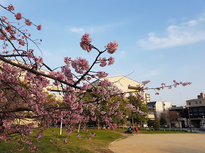 고토쿠 공원 사진 4