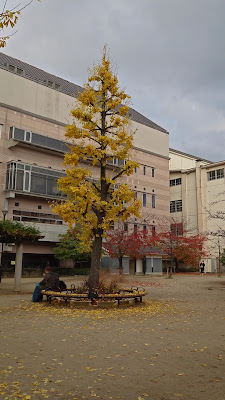 미사야마 공원 사진 2