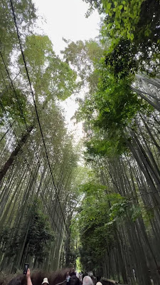 Arashiyama Bamboo 사진 2
