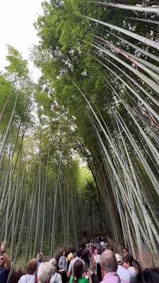 Arashiyama Bamboo 사진 3